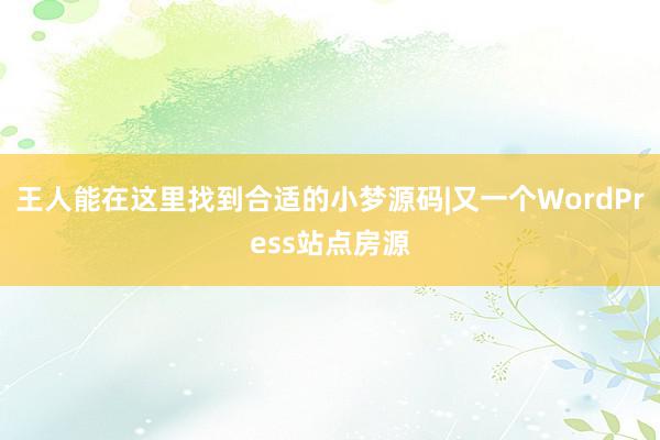 王人能在这里找到合适的小梦源码|又一个WordPress站点房源
