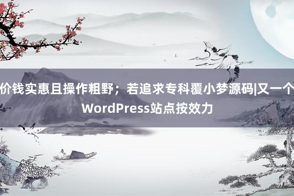 价钱实惠且操作粗野；若追求专科覆小梦源码|又一个WordPress站点按效力